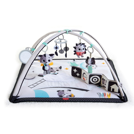 Tapis D Eveil Gymini Black White Vente En Ligne De Eveil Bebe Bebe9 Tapis D Eveil Gymini Black White Vente En Ligne De Eveil Bebe Bebe9