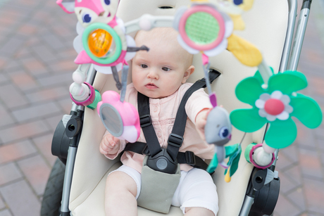 Arches Articulees Princesse Vente En Ligne De Eveil Bebe Bebe9