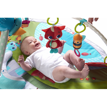 Tapis d'éveil GYMINI Dynamic - Dans la Prairie TINY LOVE - 3