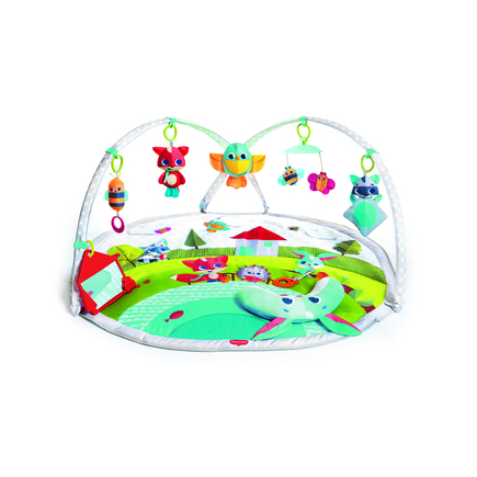 Tapis d'éveil GYMINI Dynamic - Dans la Prairie TINY LOVE, Vente en