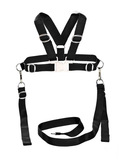 Harnais De Securite Enfant Vente En Ligne De Trotteur Porteur Et Chariot Bebe9