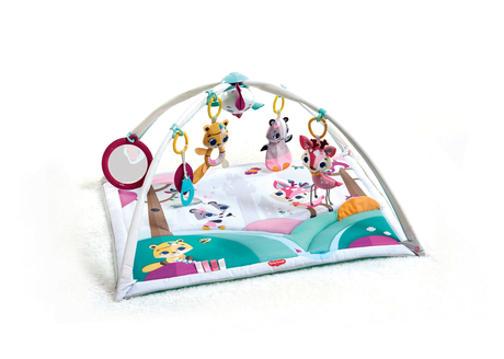 Tapis D Eveil Gymini Princesse Vente En Ligne De Eveil Bebe Bebe9