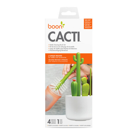 Cactus vente en ligne