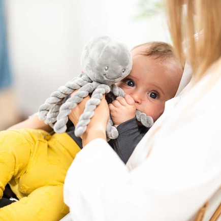 Pieuvre Lapidou Gris Vente En Ligne De Eveil Bebe Bebe9