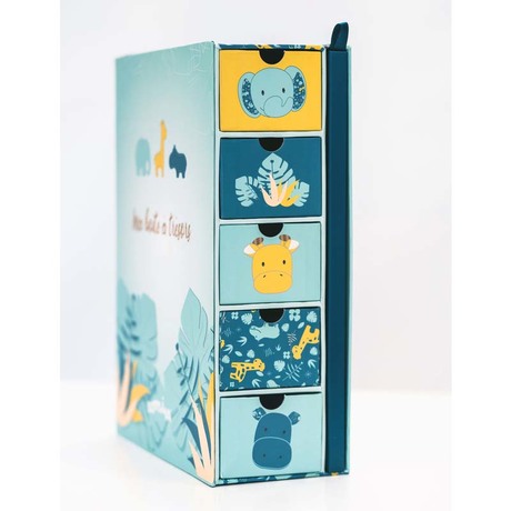 Coffret Boite A Tresors Journal De Naissance Zanimo Vente En Ligne De Chambre Bebe Bebe9