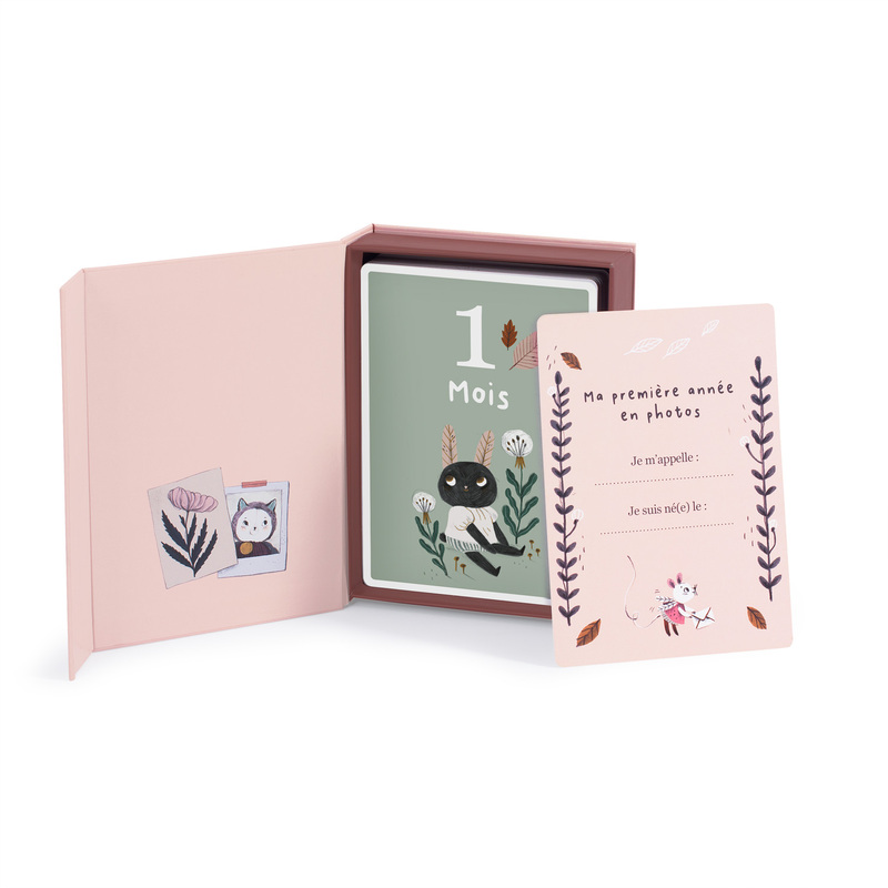 30 Cartes Mes 12 Premiers Mois Apres La Pluie Vente En Ligne De Chambre Bebe Bebe9