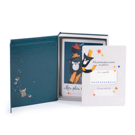 Cartes Mes 12 Premiers Mois Les Moustaches 30 Cartes Vente En Ligne De Eveil Bebe Bebe9 Cartes Mes 12 Premiers Mois Les Moustaches 30 Cartes Vente En Ligne De Eveil Bebe Bebe9