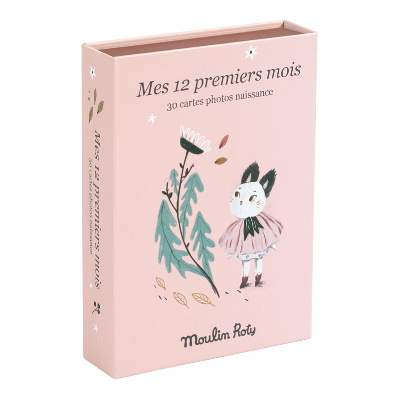 30 Cartes Mes 12 Premiers Mois Apres La Pluie Vente En Ligne De Chambre Bebe Bebe9