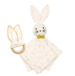 Box Doudou + anneau de dentition LEAFY BUNNY