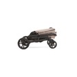 Poussette 4 roues CHROME Mushroom JOIE - 4