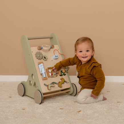 Chariot de marche oie Little Goose LITTLE DUTCH - 6