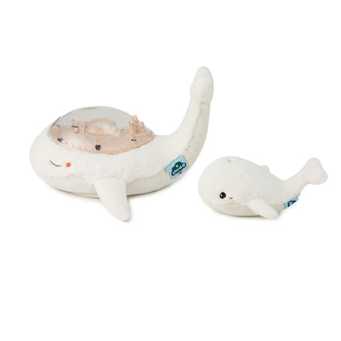 Peluche veilleuse Tranquil Turtle™ Purple CLOUD B, Vente en ligne de  Veilleuse