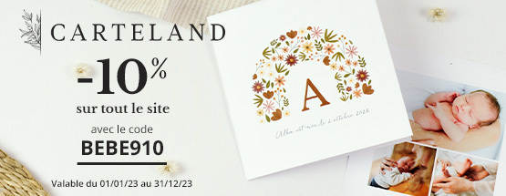 Encart%20pp%20carteland 555x215