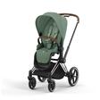 Poussette PRIAM Chrome Leaf Green 2023 CYBEX