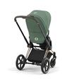 Poussette e-PRIAM Chrome Black Leaf Green 2023 CYBEX - 2