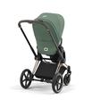 Poussette PRIAM Rosegold Leaf Green 2023 CYBEX - 8