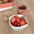 Coffret Repas Silicone 4 Pièce - Terracotta  BEABA - 4