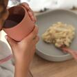 Coffret Repas Silicone 4 Pièce - Terracotta  BEABA - 2