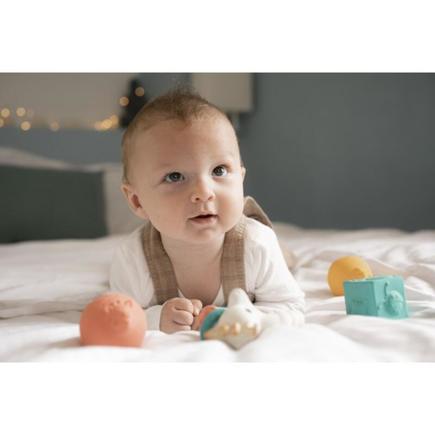 Coffret d'éveil Sophie la girafe Multicolore VULLI - 5