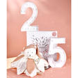 Doudou plat pétales Ours Blanc Rose - 25 cm DOUDOU ET COMPAGNIE - 8