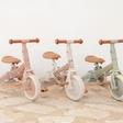 Tricycle 4 en 1 Fairy Garden Rose LITTLE DUTCH - 9