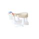 Siège de bain 6M - Dune