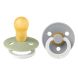 Lot de 2 sucettes en caoutchouc 18m+ Vanilla Iron