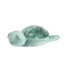 Tranquil Turtle Rechargeable Tranquil Family 0m+ Vert