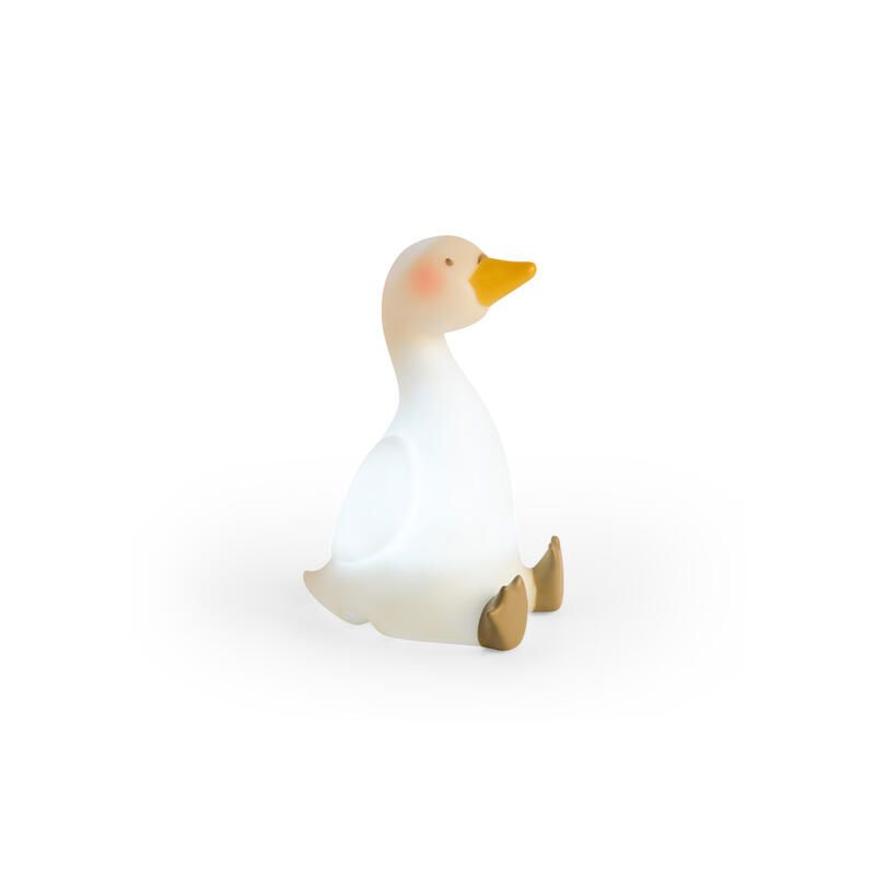 Veilleuse La Petite Ecole De Danse Cygne - moulin roty