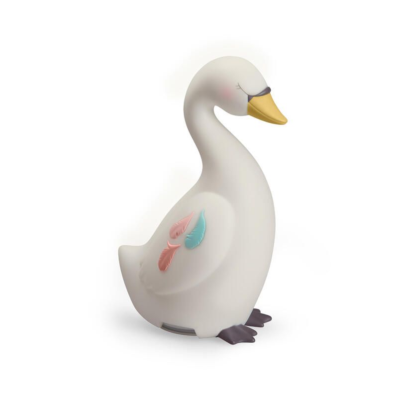 Veilleuse Ecole De Danse Moulin Roty Cygne - moulin roty