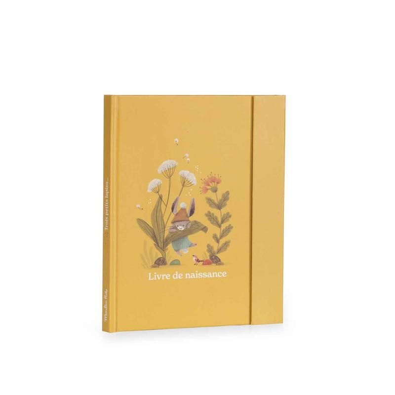 Livre De Naissance Trois Petits Lapins - moulin roty