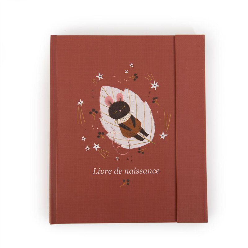 Livre De Naissance Apres La Pluie - moulin roty