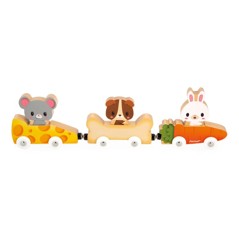 Animaux Familiers Magnetiques Ferme Multicolore - janod