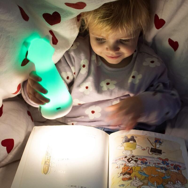 Veilleuse Lampe Torche Koon Raton Laveur - bblÜv