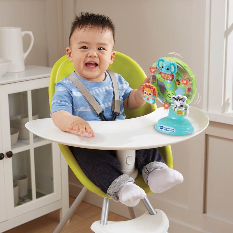 La Grande Roue Des Baby Loulous Vtech Baby - vtech