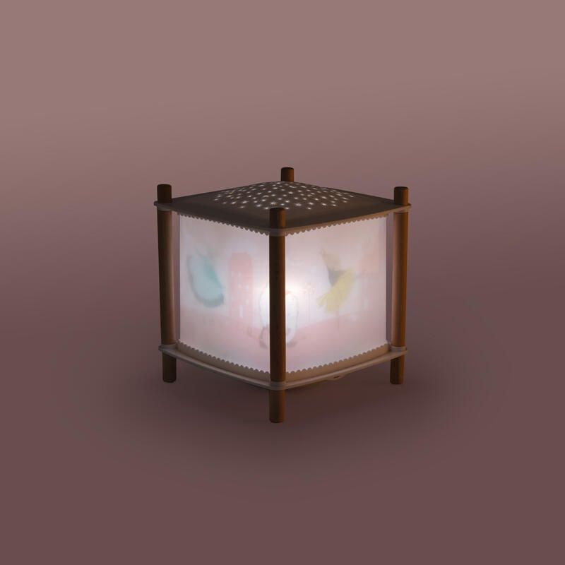 Lanterne Magique - Revolution 2.0 La Petite Ecole De Danse Multicolore Moulin Roty La Petite Cole De Danse - moulin roty
