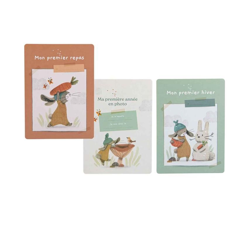 Cartes Mes 12 Premiers Mois 30 Cartes Trois Petits Lapins - moulin roty
