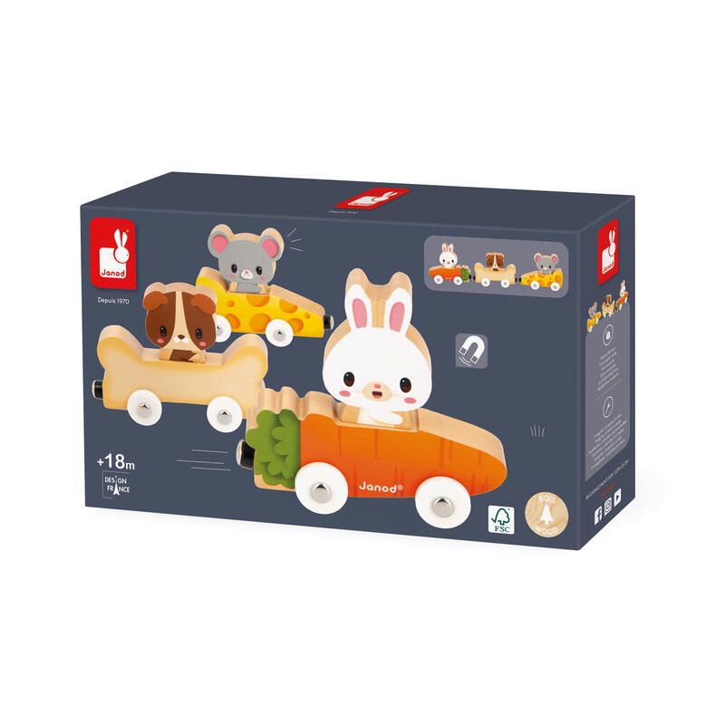 Animaux Familiers Magnetiques Ferme Multicolore - janod