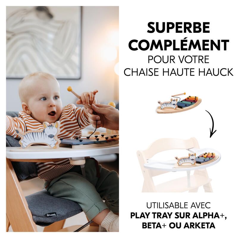 Jeu Play Music Zebra - hauck