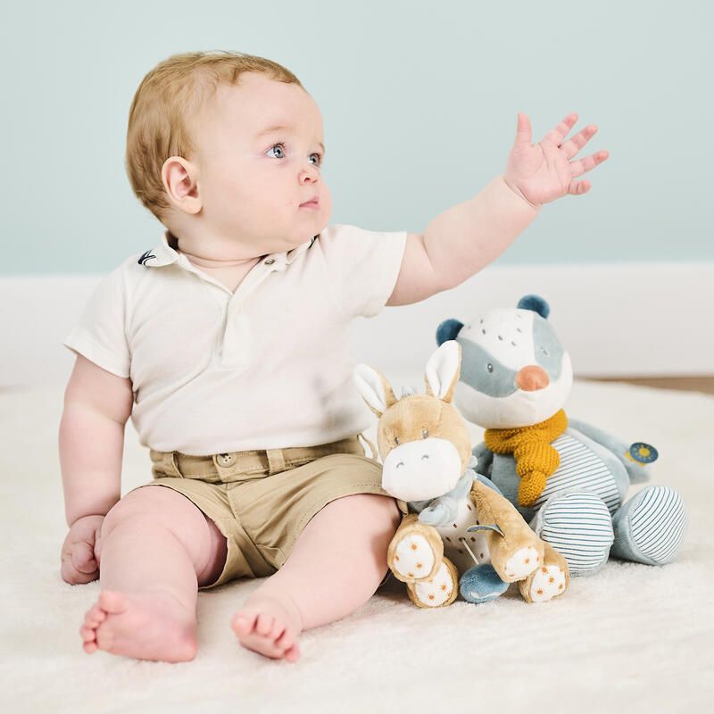 Mini Peluche Musicale Ane Felix Leo - nattou