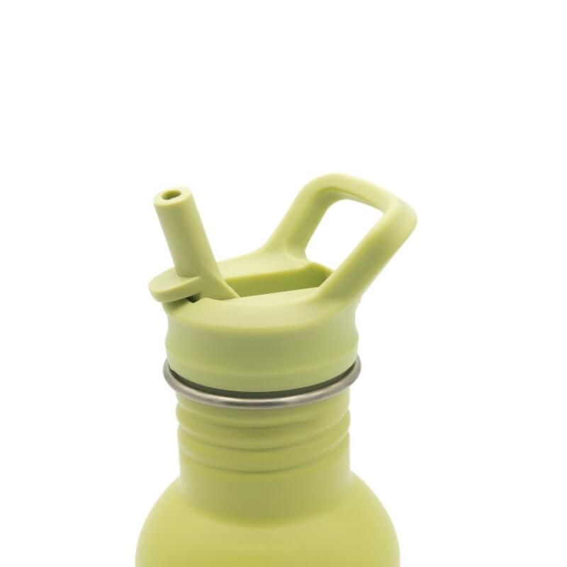 Gourde en inox Cracky le dinosaure 500 ml Vert - sassi