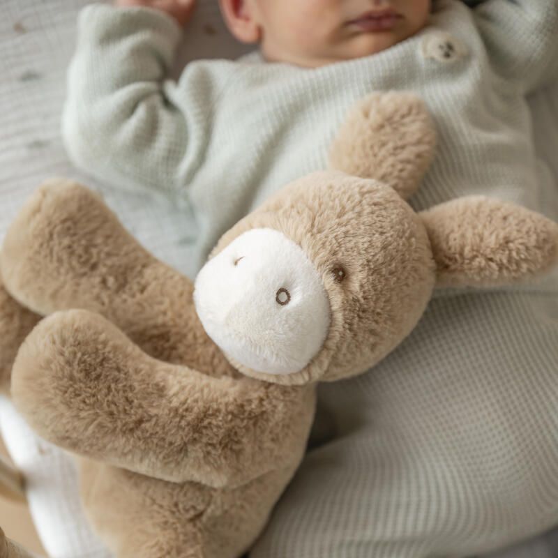 Peluche âne Loulou 30cm Caramel - nattou