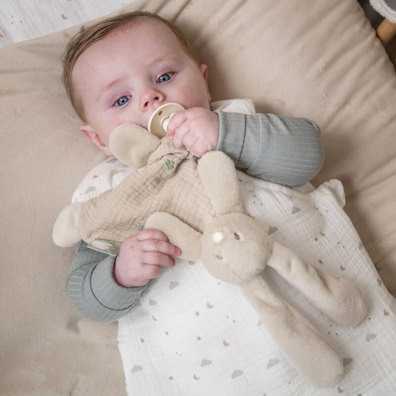 Mini doudou lapin Loulou 25cm Sable - nattou