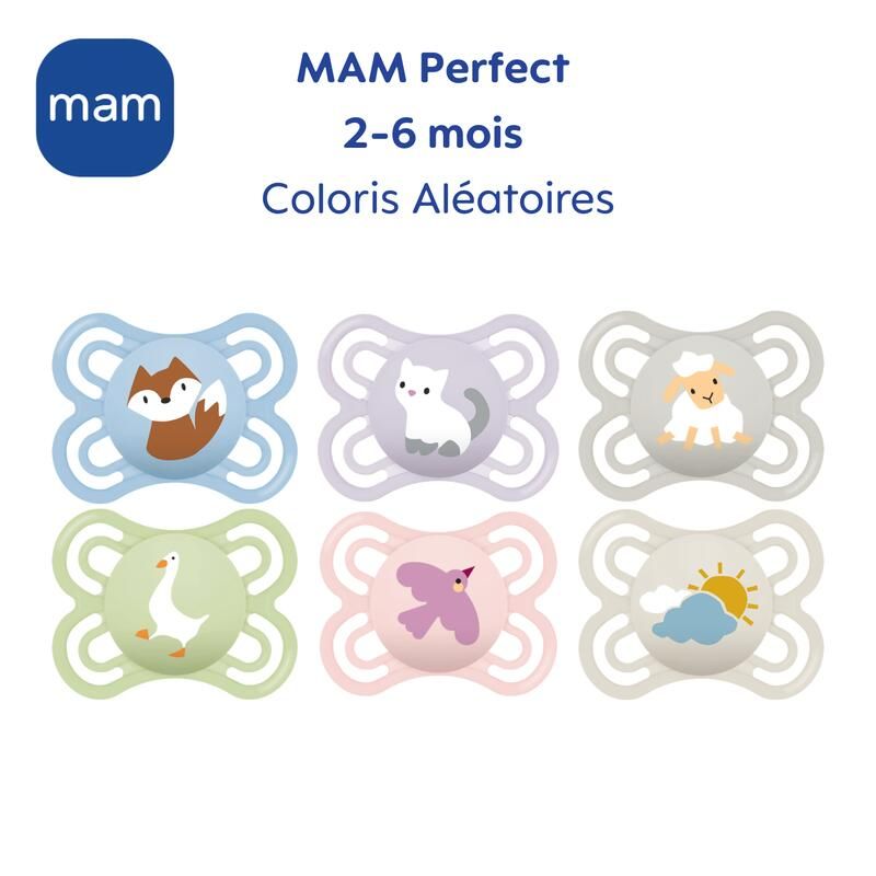 Lot de 2 Sucettes Perfect 2-6m - mam