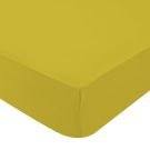 Drap-housse Jersey 70x140cm Curry