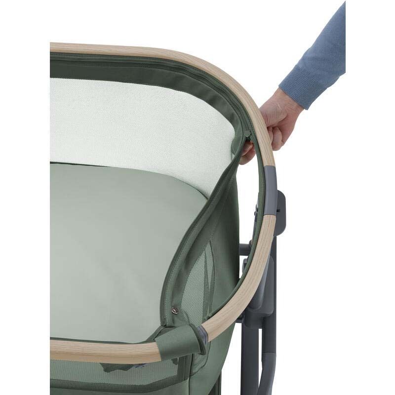 Cododo Iora Air Beyond Green