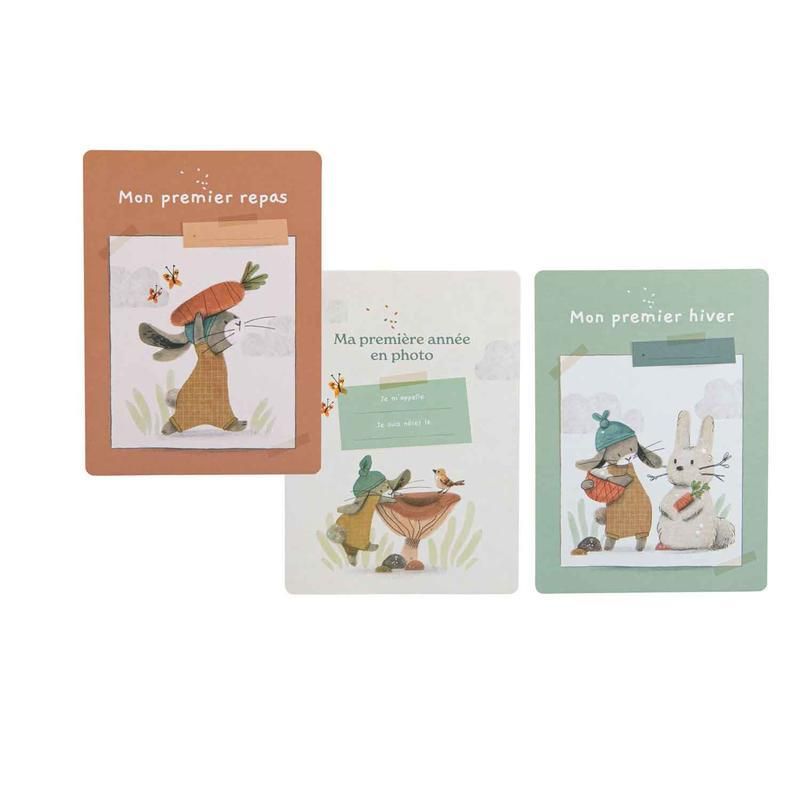 Cartes Mes 12 Premiers Mois 30 Cartes Trois Petits Lapins