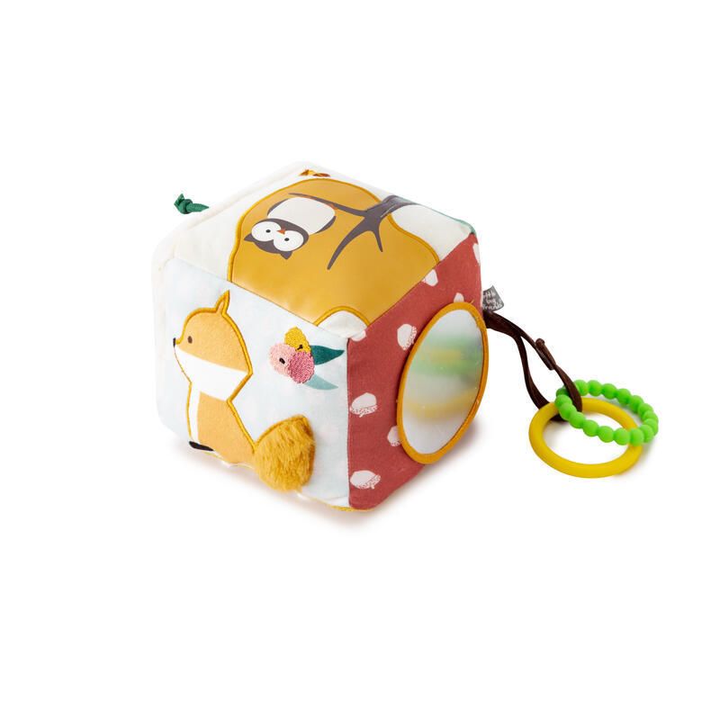 Cube Deveil - Foret Multicolore Little Big Friends Fort