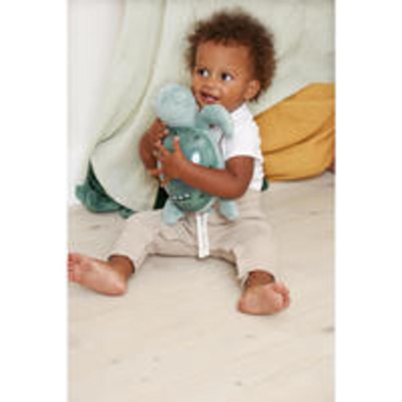 Tranquil Turtle Rechargeable Tranquil Family 0m+ Vert