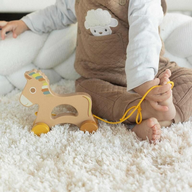 Cheval A Tirer En Bois Fsc Ds 12 Mois Multicouleur